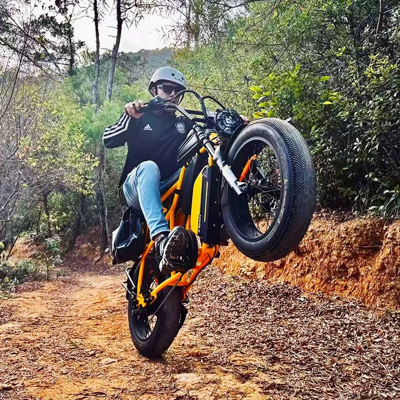 Marque Aspadz sur le cadre du fatbike électrique A-Spadz Cavet Air 250W