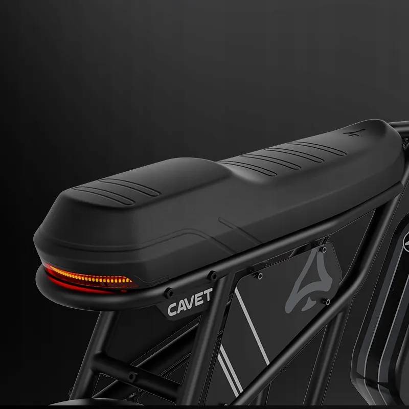 Roues de 20 pouces du fatbike électrique A-Spadz Cavet Air