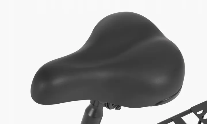 DYU A1F PRO Vélo Électrique Pliant image 12