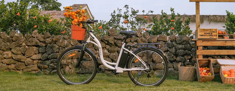 DYU C6 Vélo électrique urbain image 15