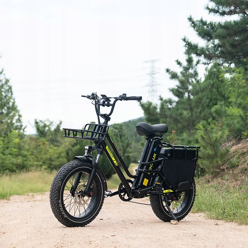 Cadre taille L du vélo électrique 20 pouces 1000W 48V65Ah