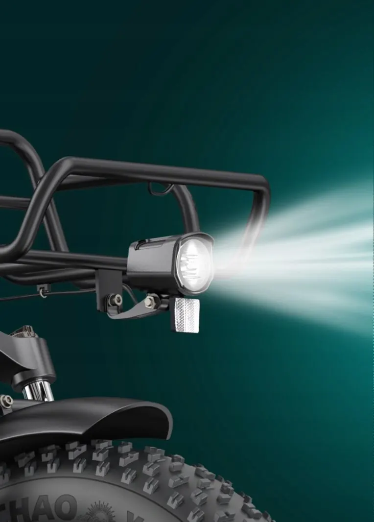Moteur dans la roue arrière du vélo électrique ENGWE L20 BOOST