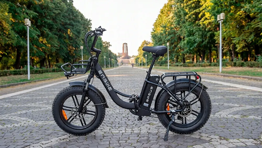 ENGWE L20 BOOST 250W 48V 20x4 pouces, vélo électrique noir robuste