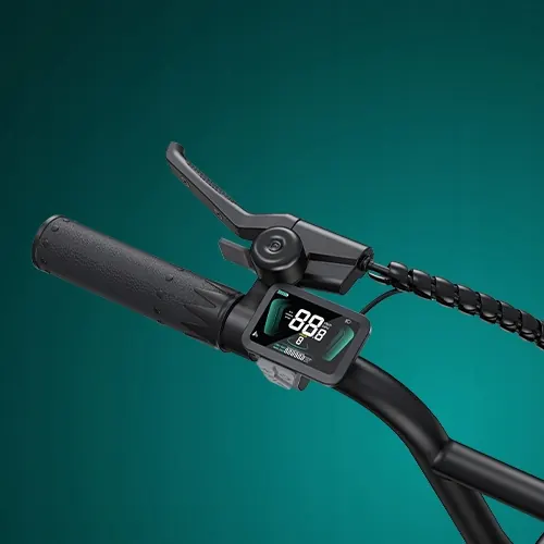 Roue de 20 pouces du vélo électrique ENGWE L20 BOOST
