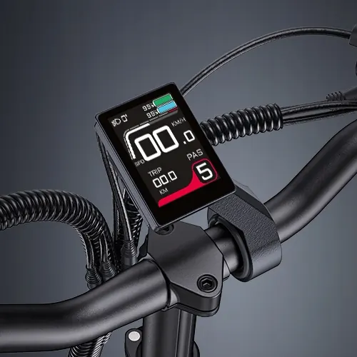 Vélo électrique ENGWE LE20 double batterie pesant 36,75 kg