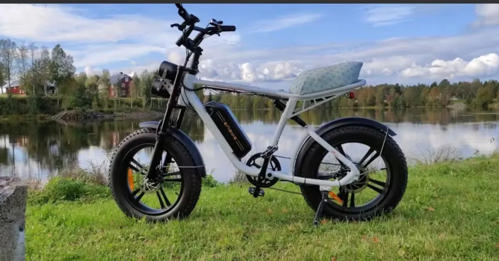 ENGWE M20 Vélo Électrique Fat Bike image 9