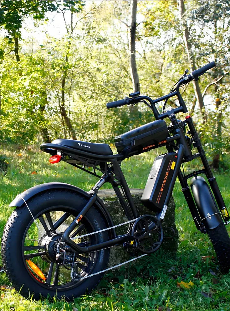 Vélo électrique ENGWE M20 1000W 26Ah dans son emballage d'origine