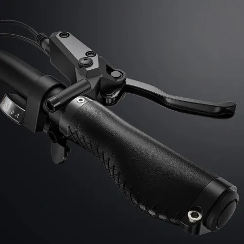 Roues 26 pouces du vélo électrique ENGWE X26 double batterie