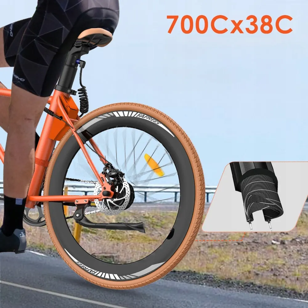 Logo de la marque Fafrees sur le vélo F1