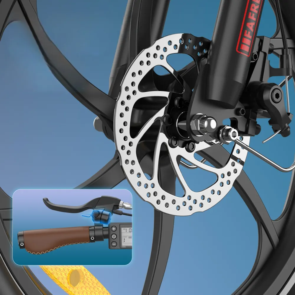 FAFREES F20+ Pro Vélo Électrique Pliant image 4