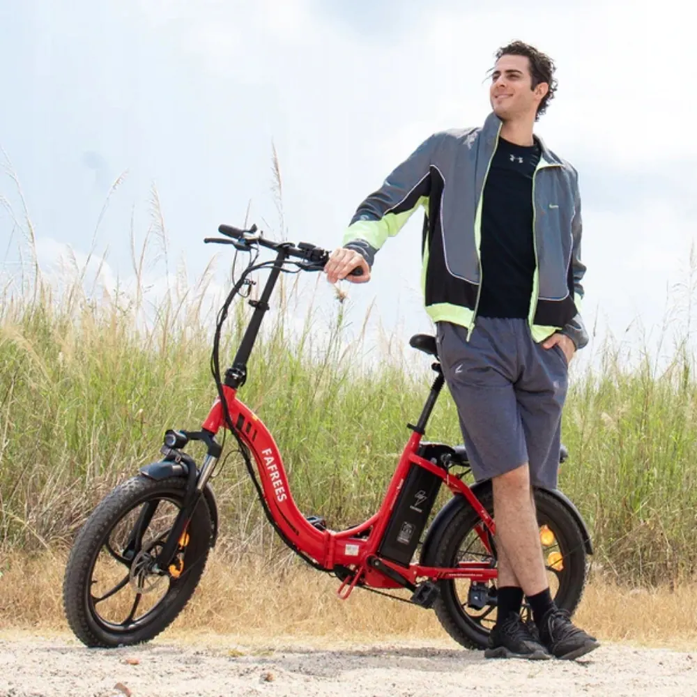 Fafrees F20 adapté aux utilisateurs de 160 à 195 cm, cadre step-through