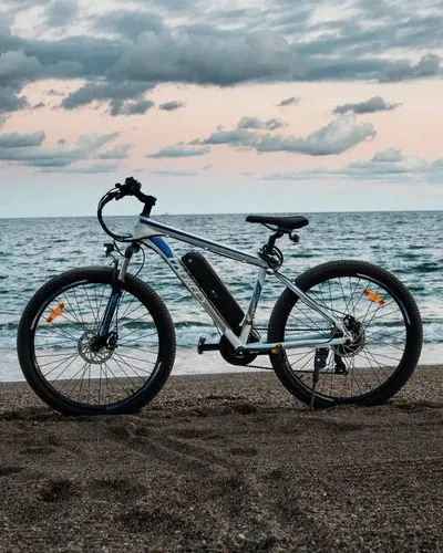 Code produit du vélo électrique Fafrees F28 MT 250W