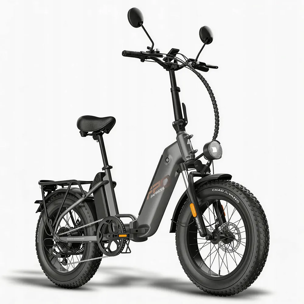 Vélo électrique Fafrees FF20 Polar 20 pouces 48V 24Ah 250W noir