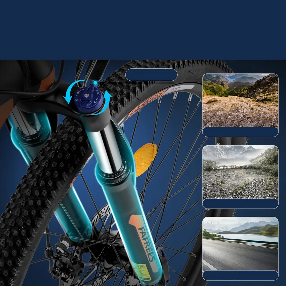 Charge maximale 120 kg pour le vélo électrique FAFREES Hailong One
