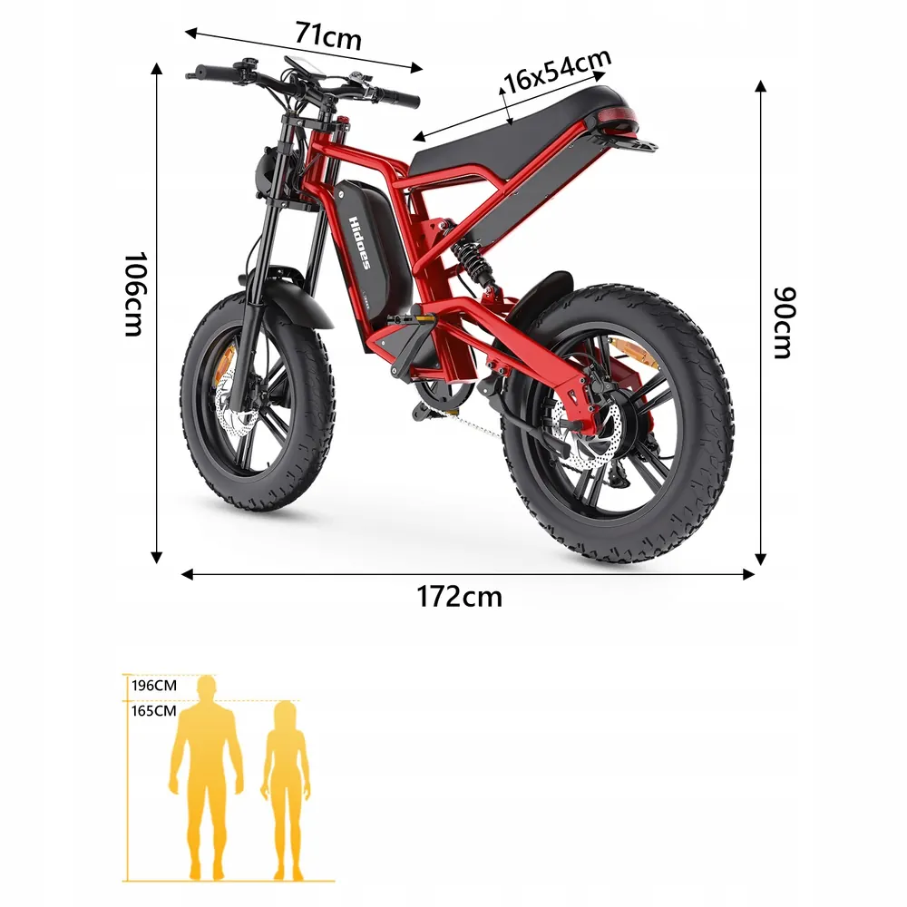 Roues de 20 pouces du vélo électrique Hidoes B6, idéales pour la ville