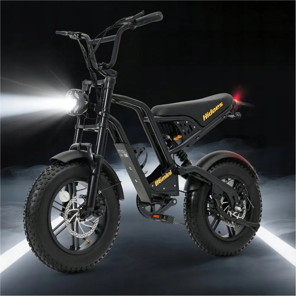 HIDOES B6MINI Vélo Électrique Tout-Terrain image 13