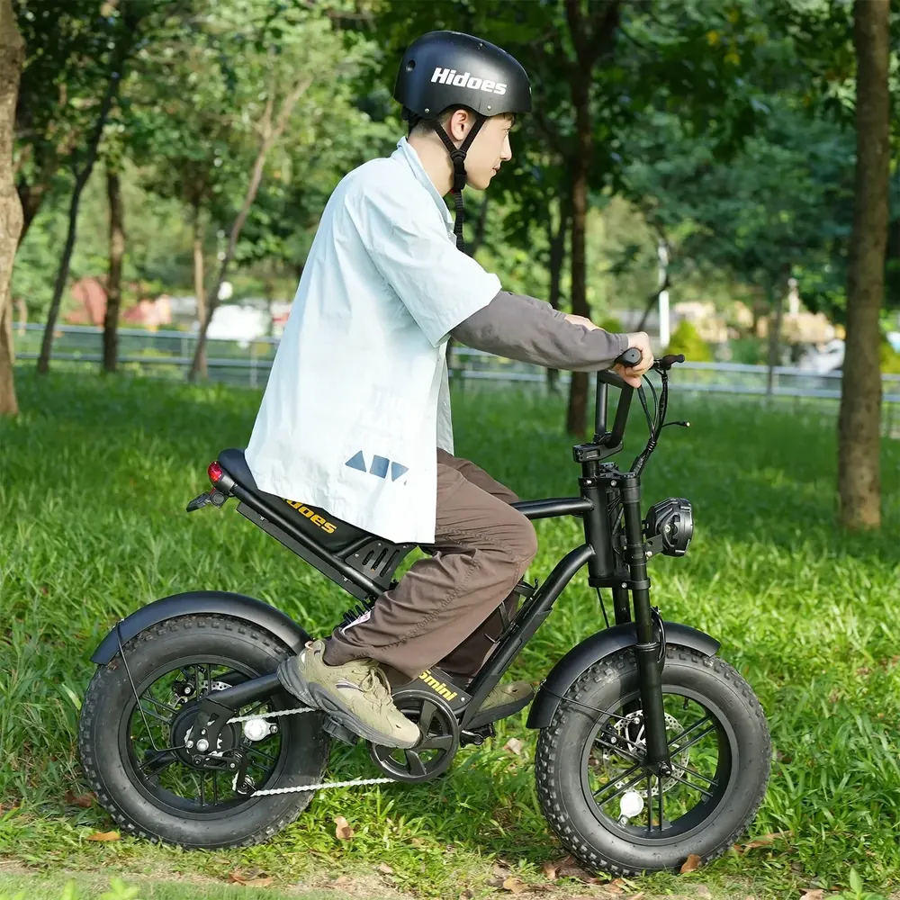 HIDOES B6MINI Vélo Électrique Tout-Terrain image 3