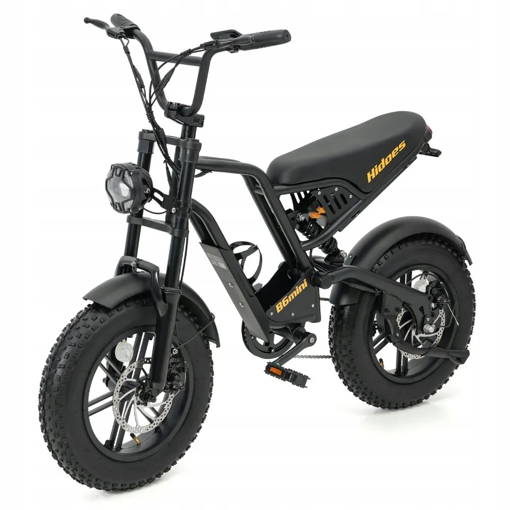 Hidoes B6MINI adapté aux utilisateurs de 155 à 180 cm, vélo électrique puissant