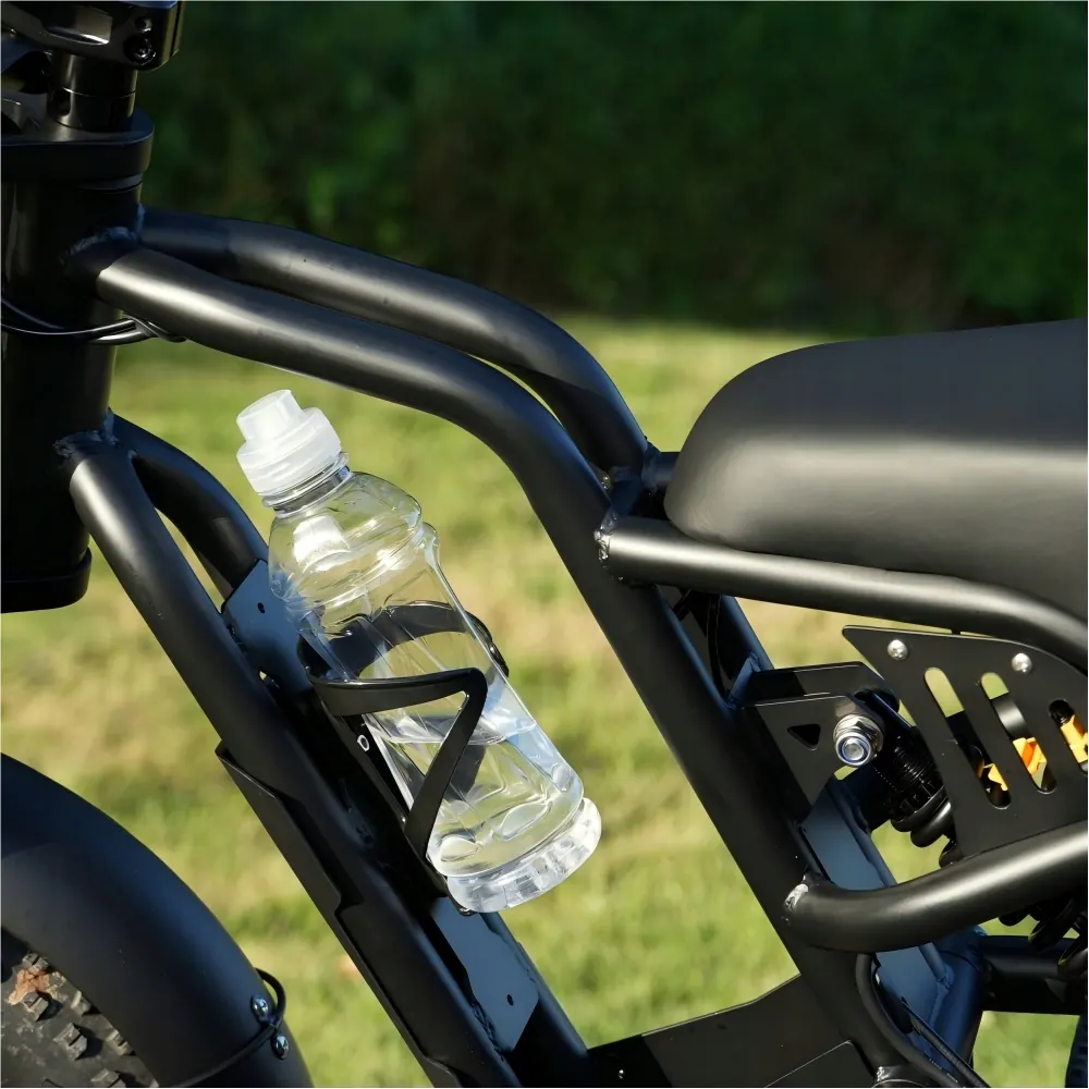 Hidoes B6MINI avec roue 16 pouces et pneu 4.0, vélo électrique 500W