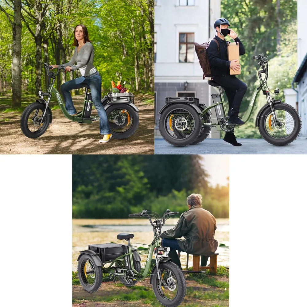 Hidoes HD-ET1 Vélo Électrique Tout-Terrain image 13