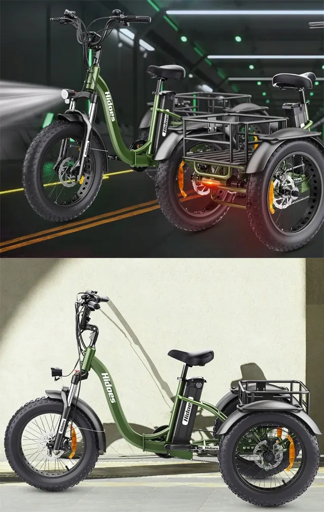Cadre robuste du vélo électrique Hidoes HD-ET1 750W 48V20Ah