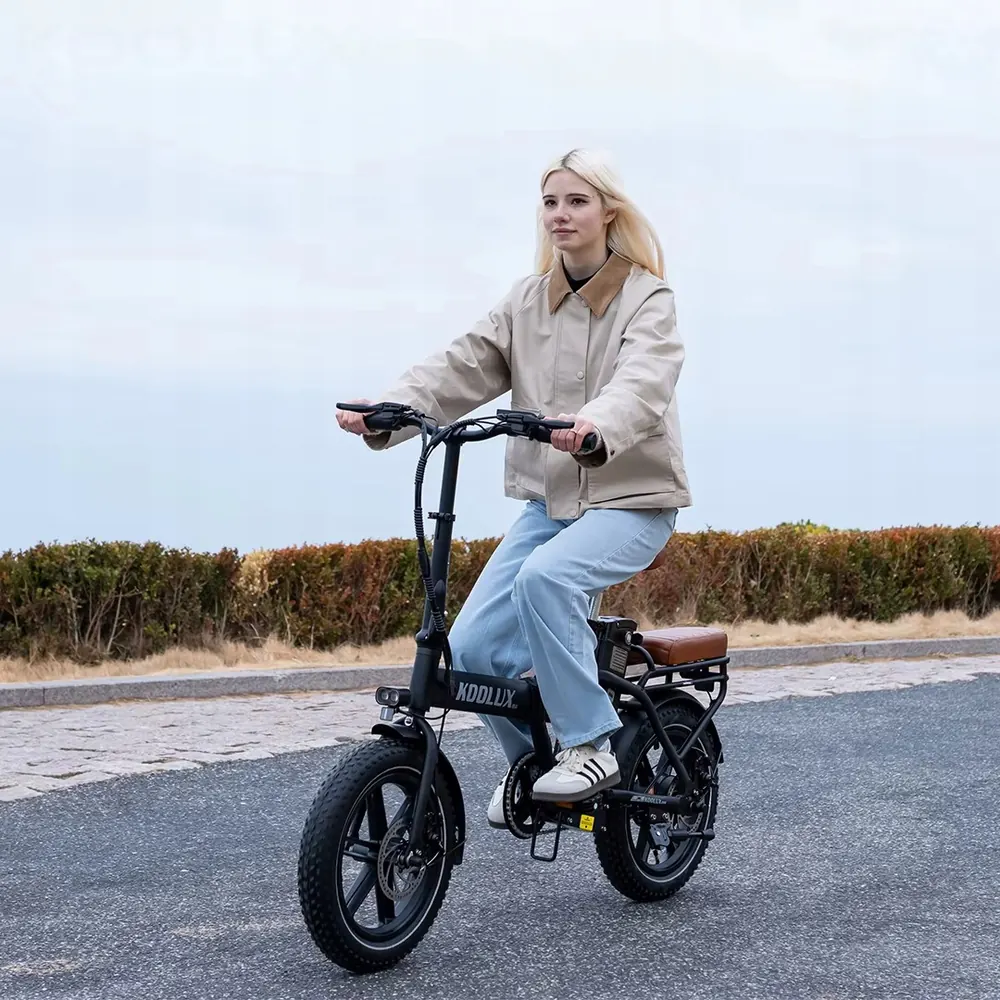 KOOLUX X10 Vélo Électrique Pliant image 10