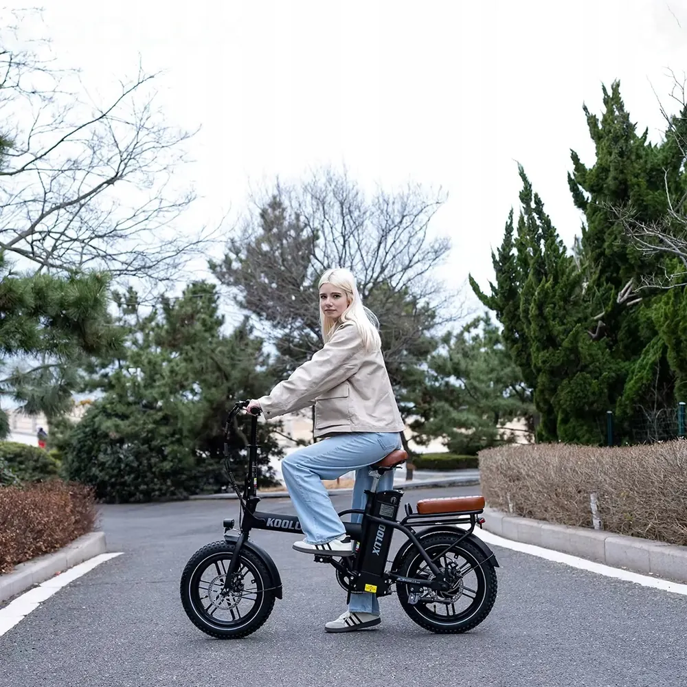 KOOLUX X10 Vélo Électrique Pliant image 13