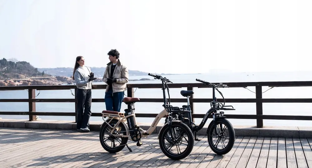 Batterie amovible du vélo électrique pliant KOOLUX X16 48V 15.6Ah