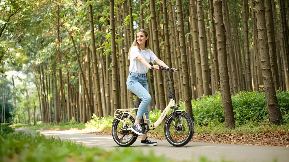 ONESPORT OT16-2 vélo électrique pliant avec batterie 48V 17AH et moteur 250W