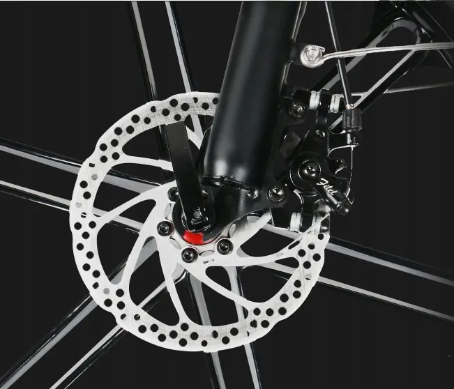 SAMEBIKE 20LVXD30-II Vélo Électrique Pliant Urbain image 6