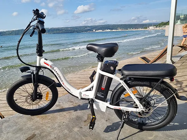 Moteur 250W du SAMEBIKE CY20, vélo électrique pliable