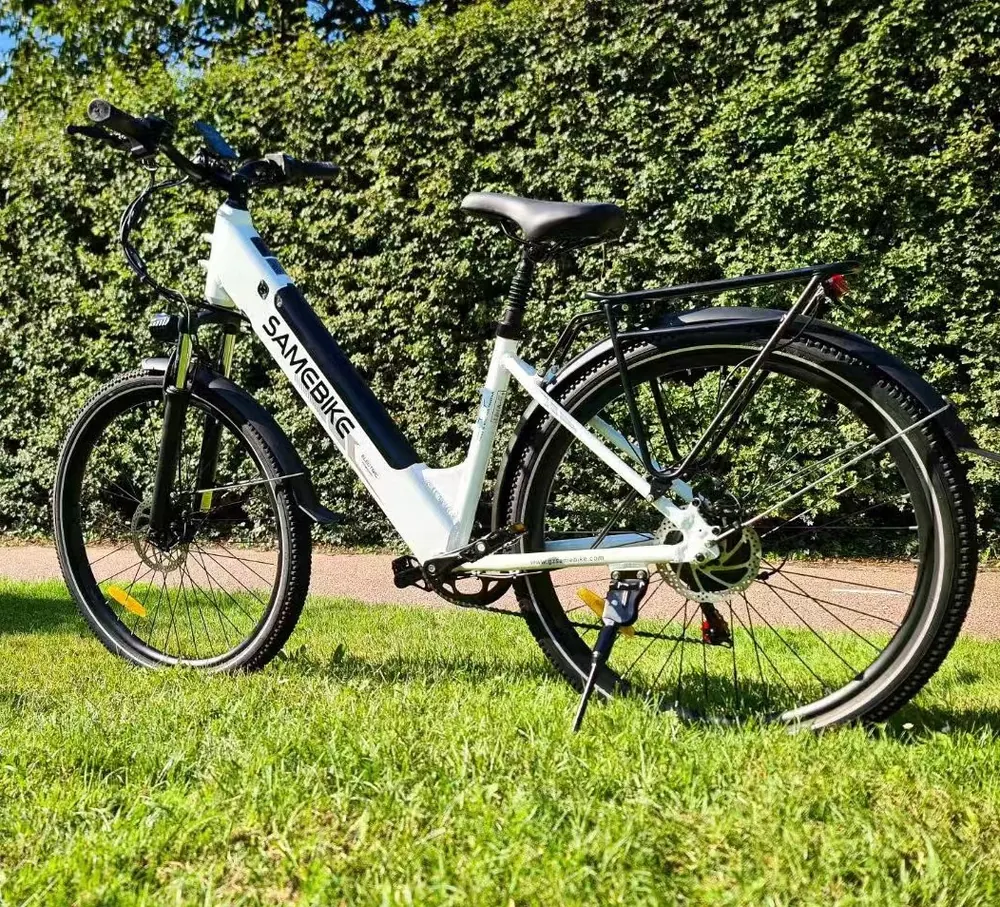 SAMEBIKE RS-A01 Pro Vélo Électrique image 3