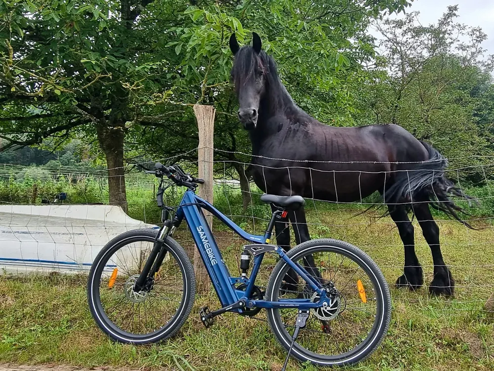 Batterie incluse du Samebike XD26-II 750W 40km/h