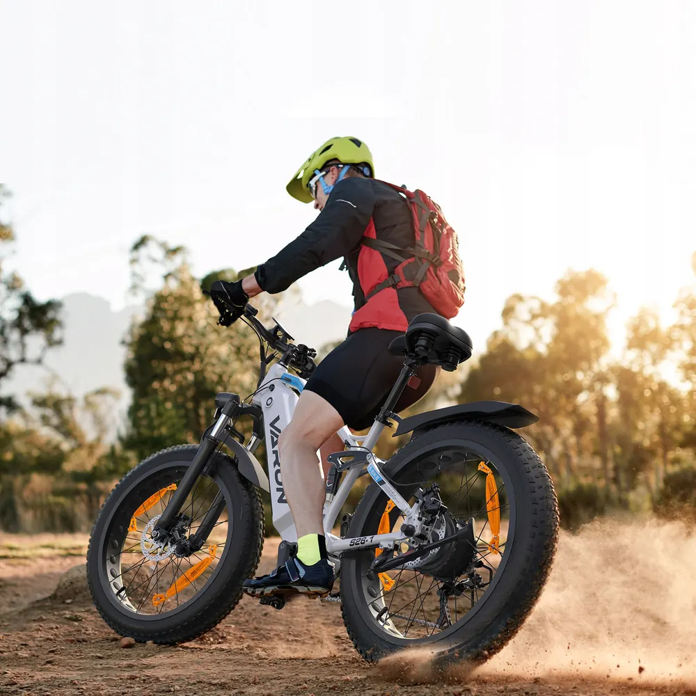 Modèle S26-1 du vélo électrique VARUN 26X4.0 en détail