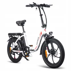 FAFREES F20 Vélo Électrique Pliant Fat Tire