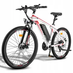 FAFREES Hailong One VTT Électrique 26"