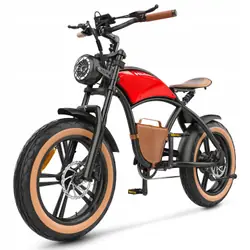HIDOES B10 Vélo Électrique Tout-Terrain