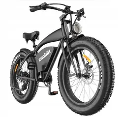 HIDOES B3 Vélo Électrique Fat Tire