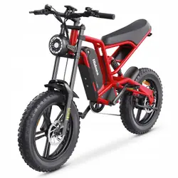 HIDOES B6 Vélo Électrique